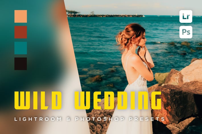 6 Wild Wedding Lightroom and Photoshop Presets