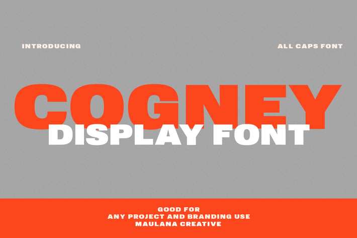 Cogney Sans Serif Display Font