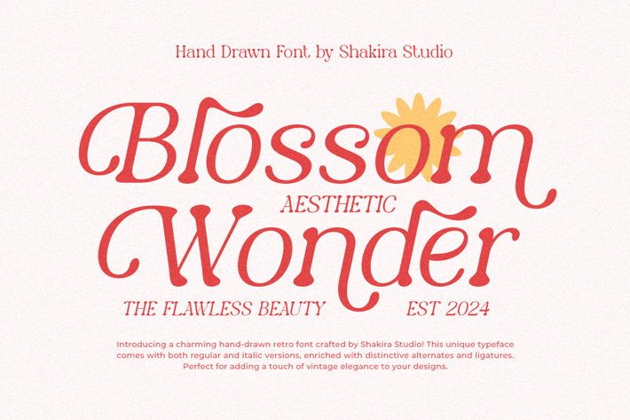 Blossom Wonder - A HandDrawn Font