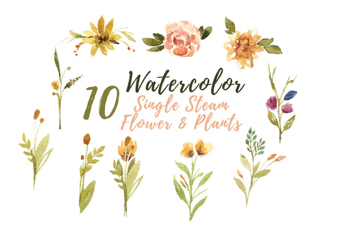 10 Watercolor Single Stem Flower and Plants