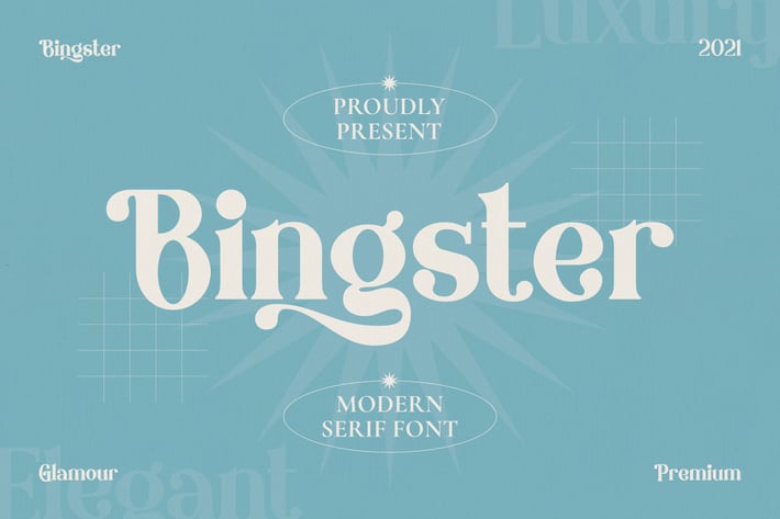 Bingster - Modern Serif Font
