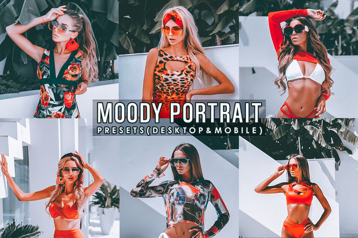 Moody Portrait Presets Desktoop and Mobile