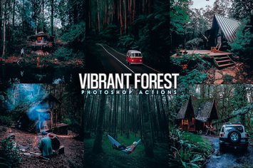 Vibrant Forest Effects Photoshop Actions