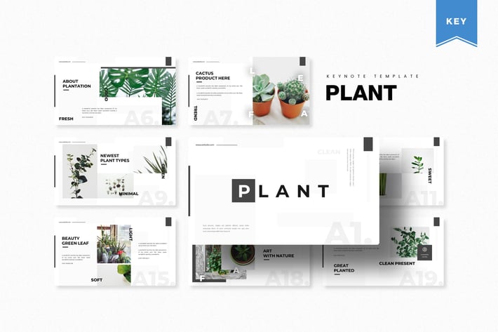 Plant | Keynote Template