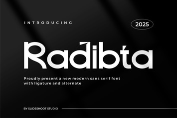 Radibta || Modern Sans Serif Font