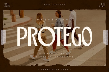 Protego - Unique Sans Display