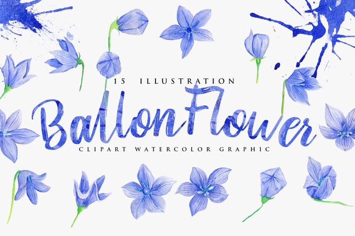 15 Watercolor Ballon Flower Illustration