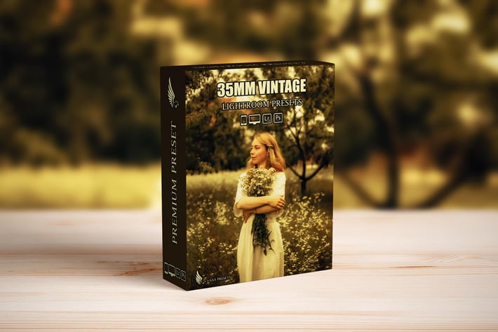 35mm Vintage Retro Lightroom Presets