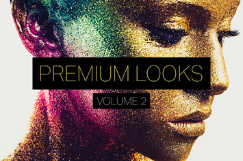 Premium Looks Lightroom Presets (Vol. 2)