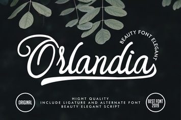 Orlandia | Beauty Font Elegant