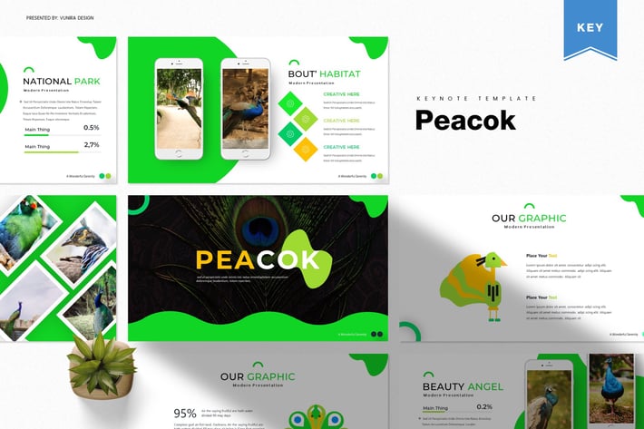 Peacok | Keynote Template