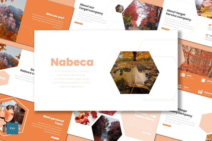Nabeca - Keynote Template