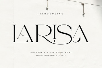 Larisa Stylish Serif Font