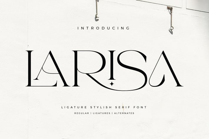 Larisa Stylish Serif Font