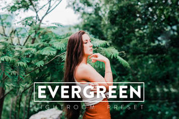 10 Evergreen Lightroom Presets