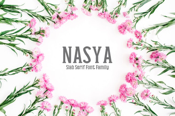 Nasya Slab Serif Font Family Pack