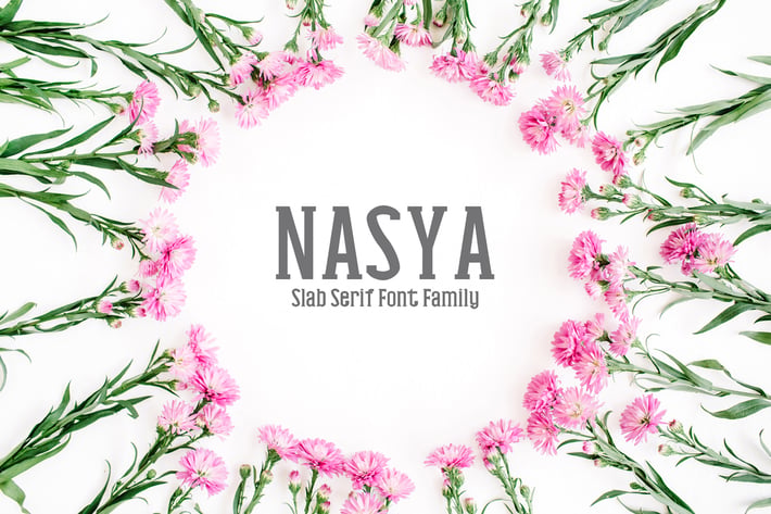 Nasya Slab Serif Font Family Pack