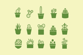 15 Cactus and Plant Icons