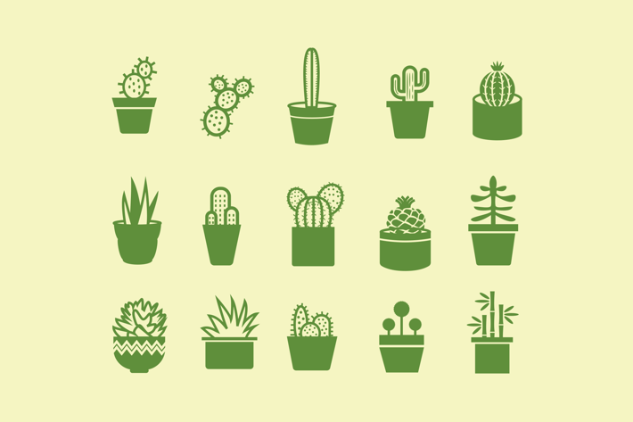 15 Cactus and Plant Icons