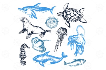 Sea Creatures - modern vector objects