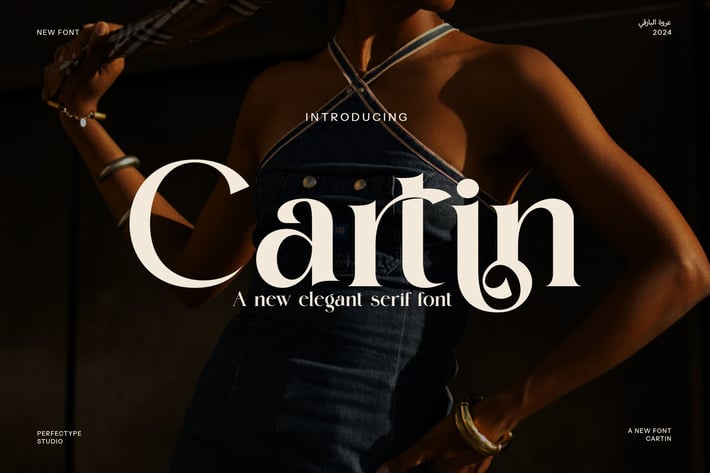 Cartin Elegant Serif Font