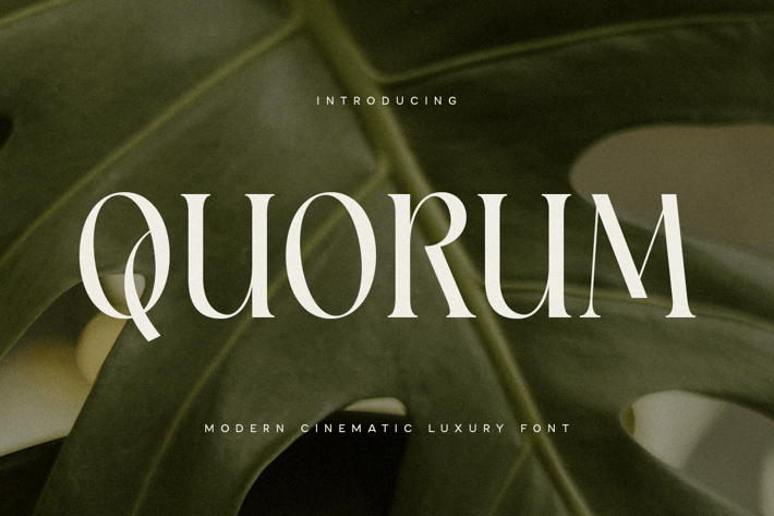 Quorum - Modern Cinematic Luxury Font