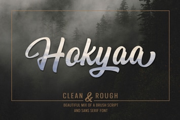 Hokyaa