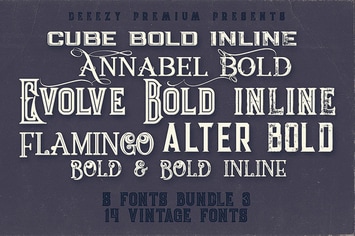 5 Fonts Bundle 3