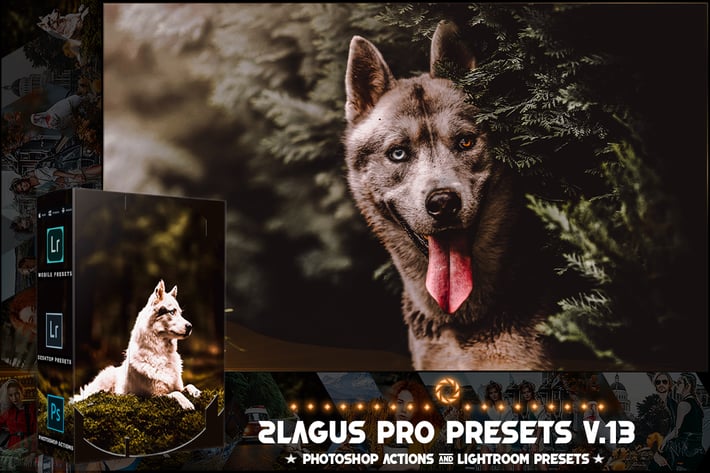 PRO Presets - V 13 - Photoshop & Lightroom