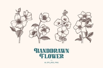 Handdrawn Flower