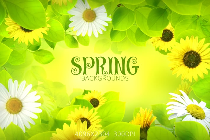 Spring Flowers Backgrounds