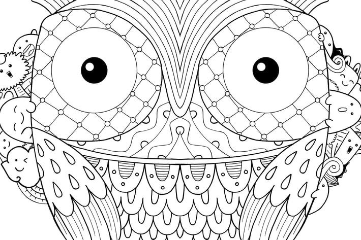 Owl Bird Doodle