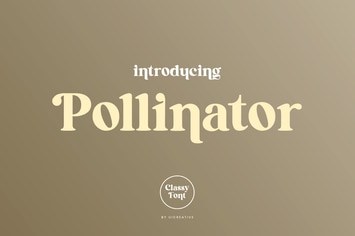 Pollinator Display Serif Font