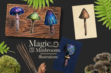 Magic Mushrooms Illustrations