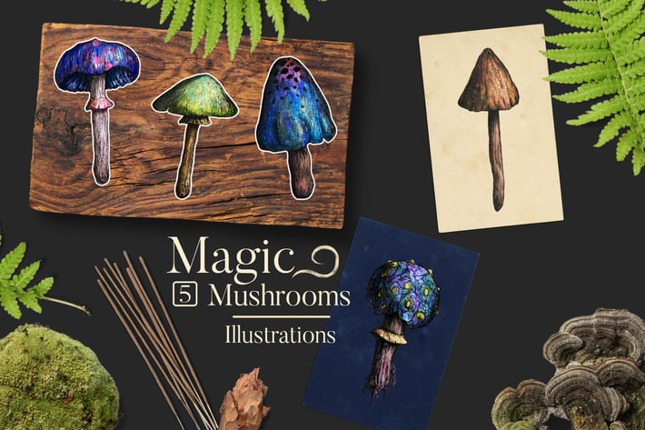 Magic Mushrooms Illustrations