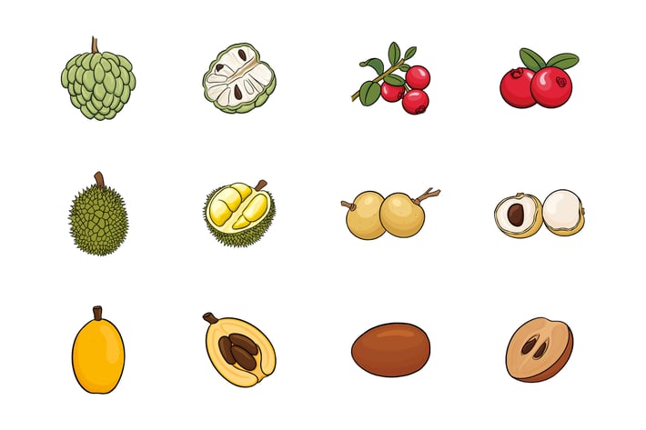 Fruits Illustration V.8