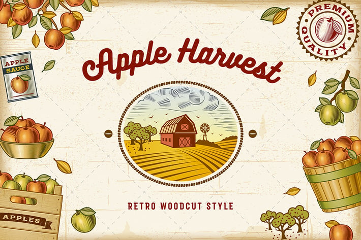 Vintage Colorful Apple Harvest Set