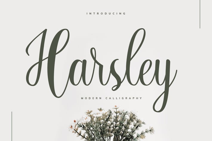  Harsley Script
