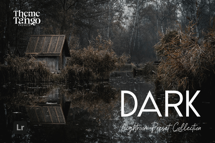 14 Dark and Moody Lightroom Presets