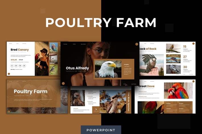Poultry Farm - Powerpoint Template