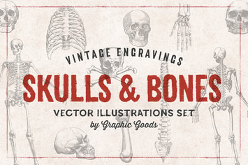 Skulls & Bones - Engraving Style Illustration Set