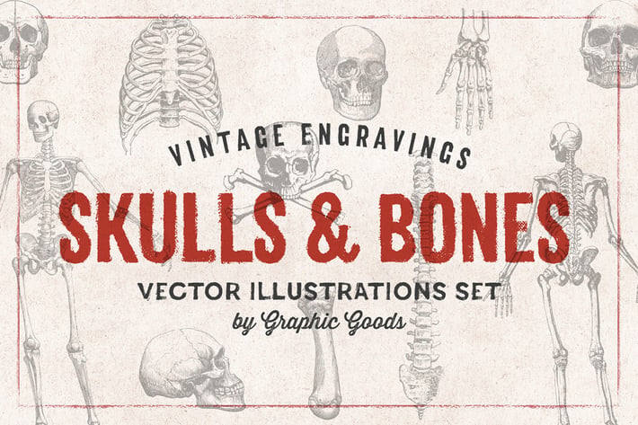 Skulls & Bones - Engraving Style Illustration Set