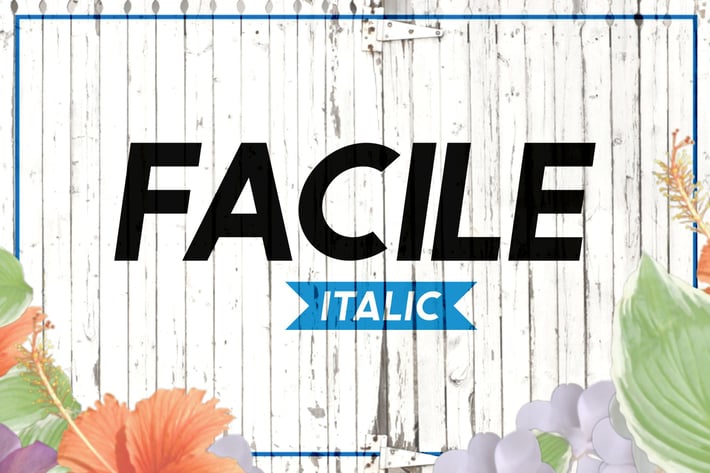 Facile Italic