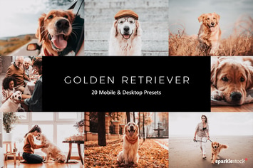 20 Golden Retriever Lightroom Presets & LUTs