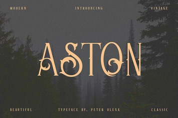 Aston - Vintage Serif Font