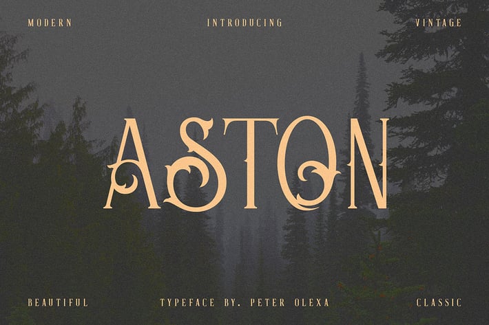 Aston - Vintage Serif Font