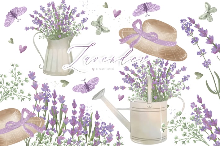 Lavender garden design
