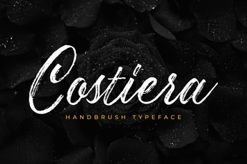 Costiera - Elegant Hanbrush