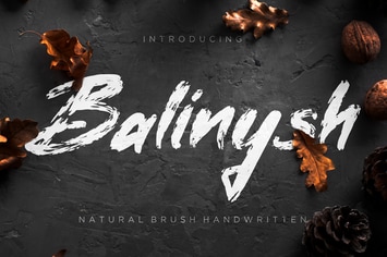 Balinysh Natural Brush Business Font