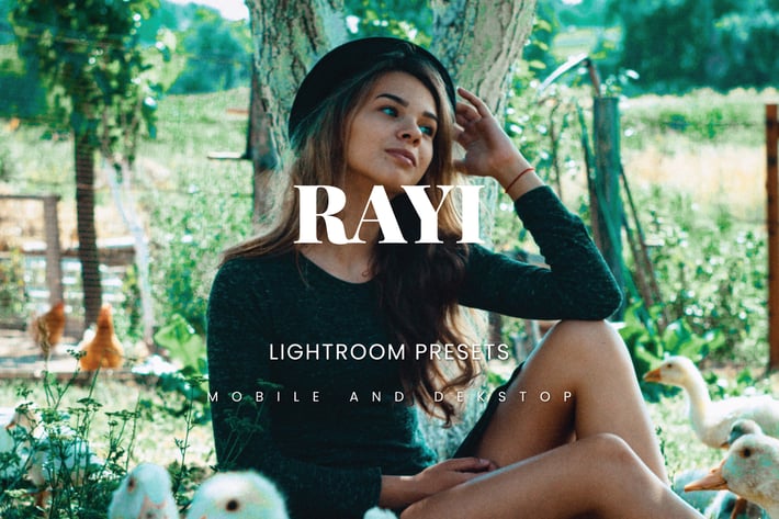 Rayi Lightroom Presets Dekstop and Mobile